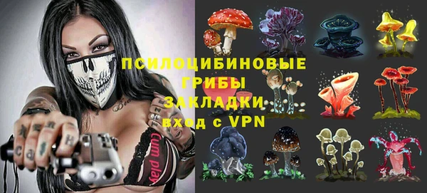 крисы Пересвет