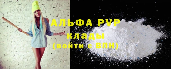 крисы Пересвет