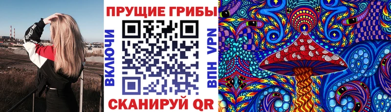 наркота  Воронеж  Галлюциногенные грибы мицелий 