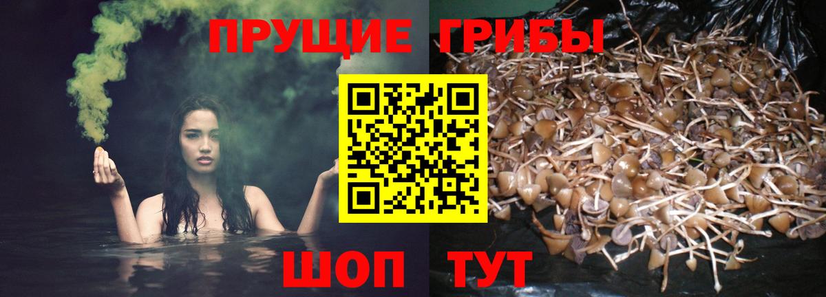 Воронеж  Псилоцибиновые грибы Magic Shrooms  Вход с VPN  Галлюциногенные грибы мицелий 