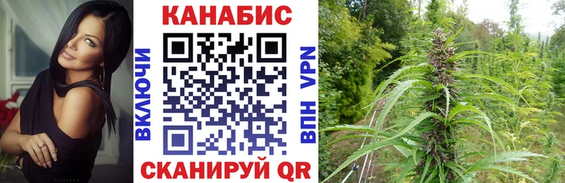 Каннабис марихуана  где продают наркотики  Воронеж 
